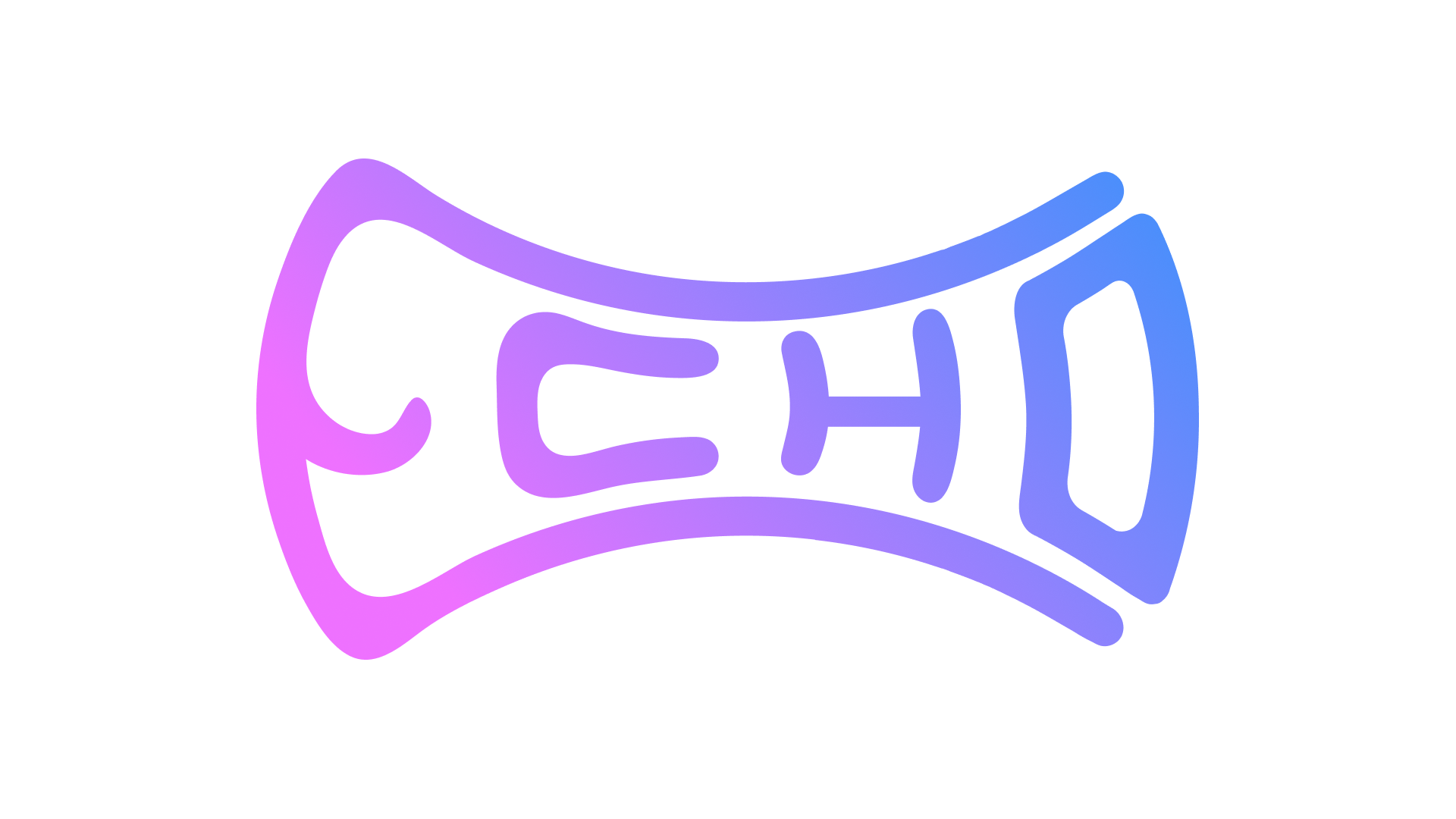 Echo Budget Image Preview